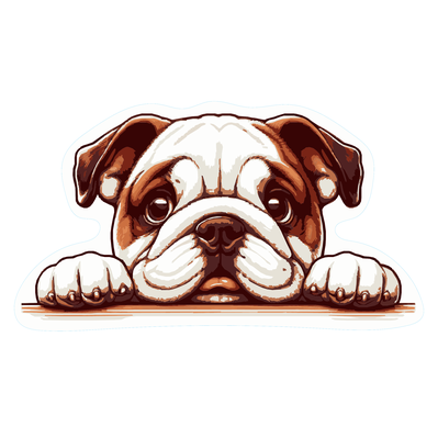 Dog1 - English Bulldog 3 - Cutline - Louise