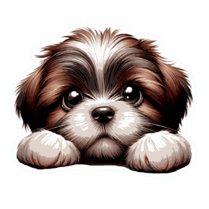 Dog1 - Shih Tzu 2 - Cutline - Louise