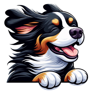 Dog 16 Bernese Mountain Dog Cartoon 2 [Version1] Original