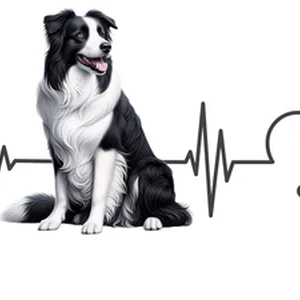 Border Collie Premium Dog Sticker