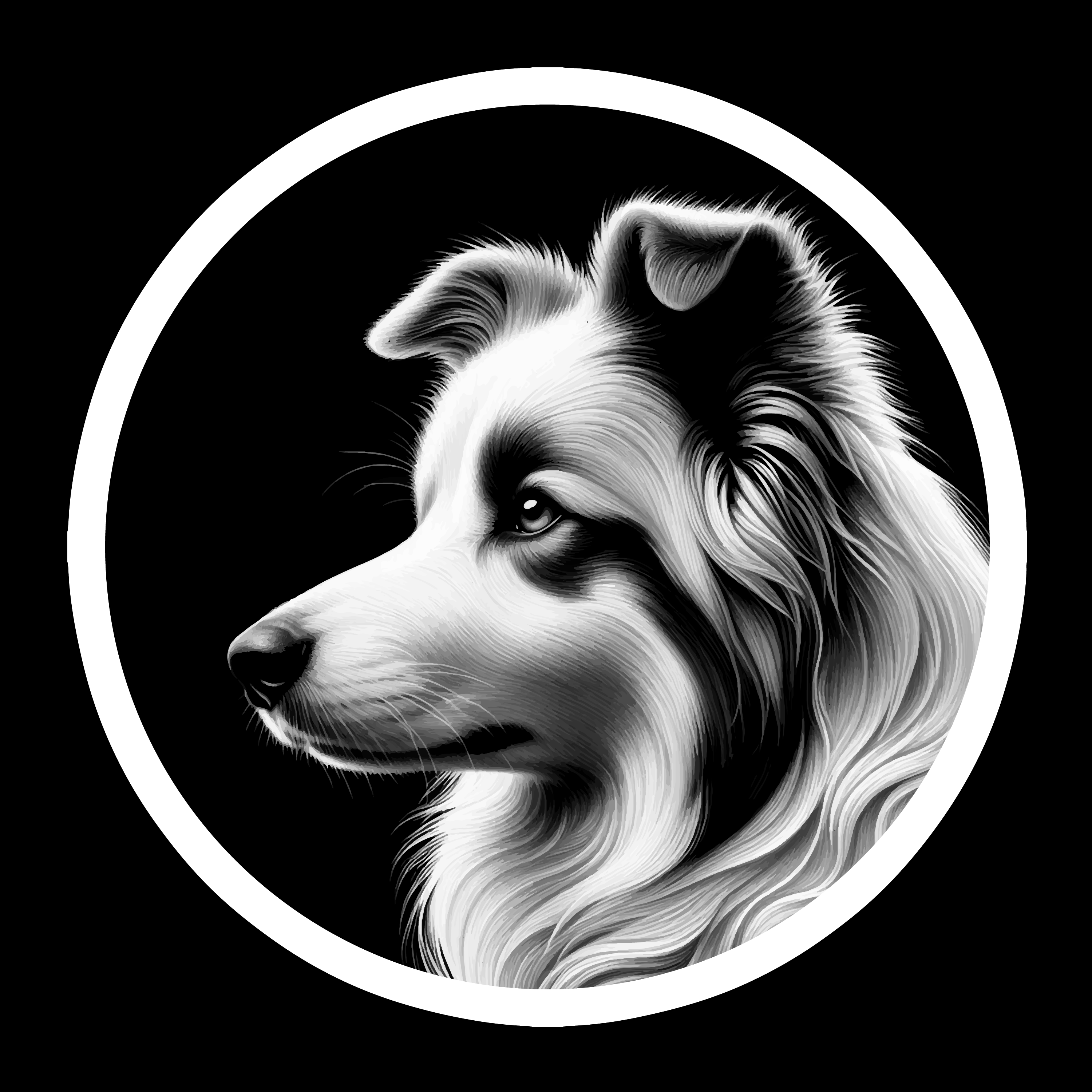 Dog 12 - Border Collie (White Version 2) Original - Nikko