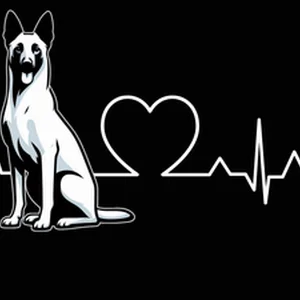 Belgian Malinois Premium Dog Sticker