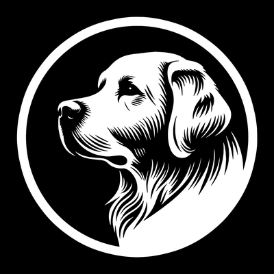 Dog 12 - Labrador Retriever (White 3