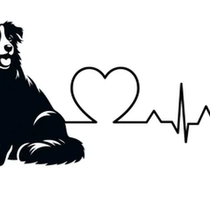 Border Collie Premium Dog Sticker