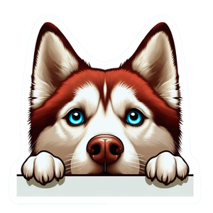 Border Collie Premium Dog Sticker by Unknown