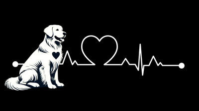 Boston Terrier Premium Dog Sticker by Unknown