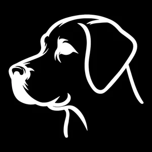 Border Collie Premium Dog Sticker by Unknown