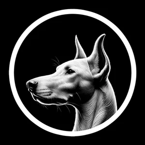 Border Collie Premium Dog Sticker by Unknown